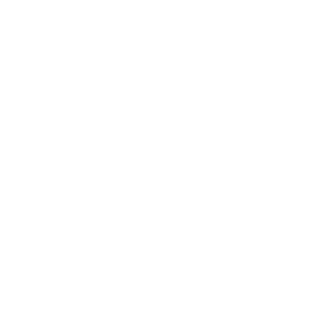 Logo Lemobs